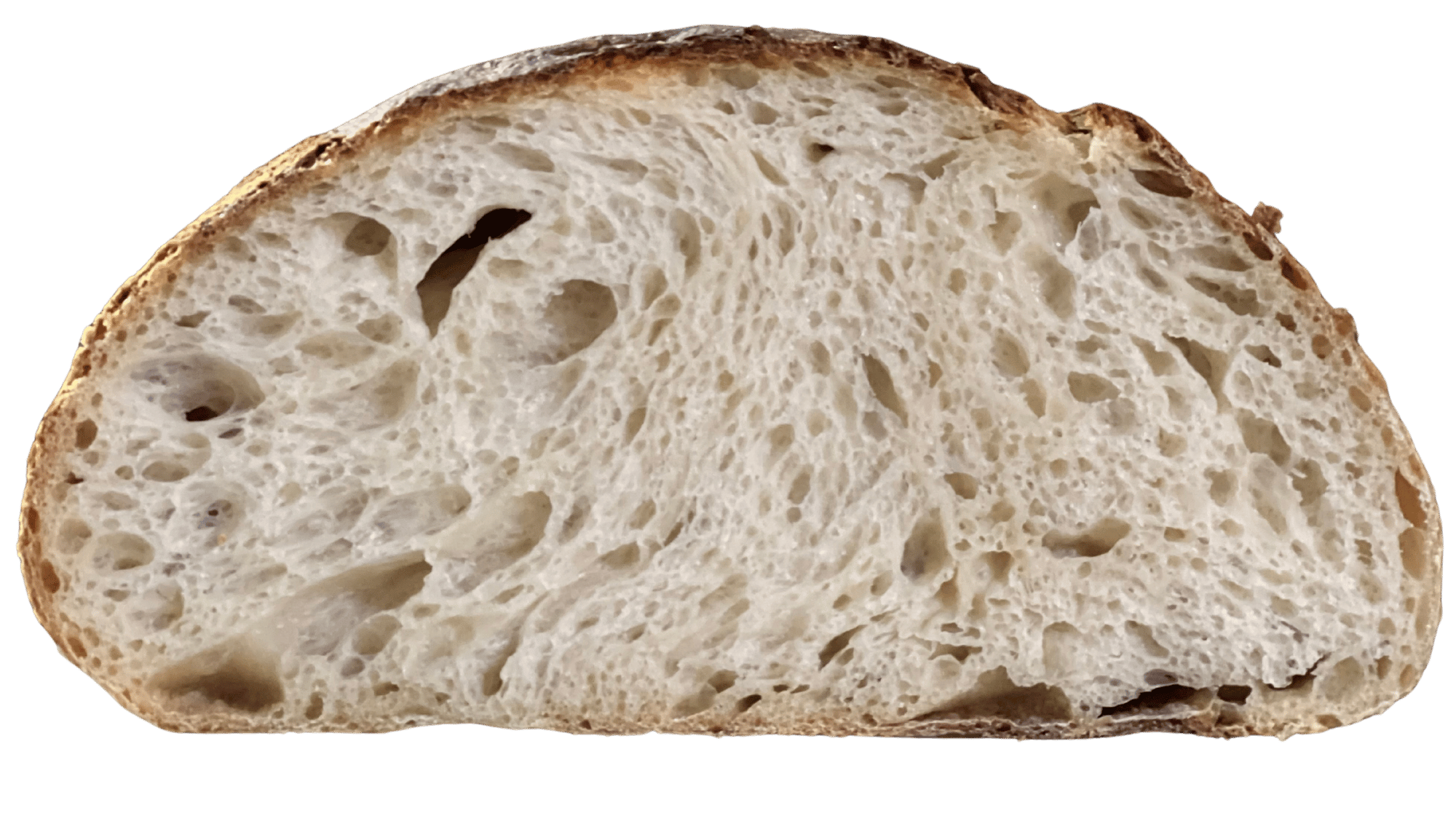 Trigo Blanco